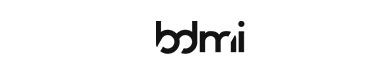 BDMI SRL
